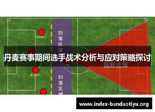丹麦赛事期间选手战术分析与应对策略探讨 丹麦赛事期间选手战术分析与应对策略探讨