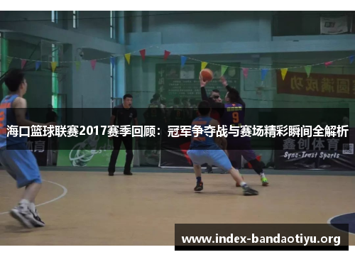 海口篮球联赛2017赛季回顾:冠军争夺战与赛场精彩瞬间全解析 海口篮球联赛2017赛季回顾:冠军争夺战与赛场精彩瞬间全解析