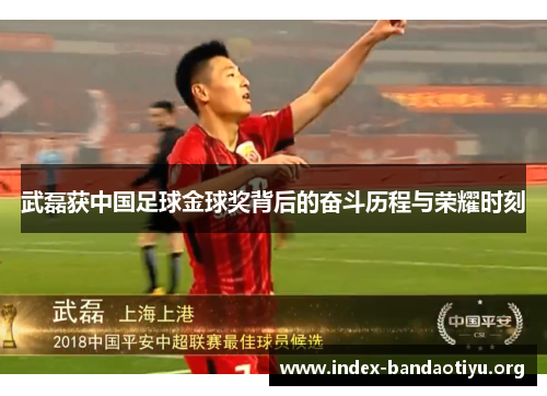 武磊获中国足球金球奖背后的奋斗历程与荣耀时刻