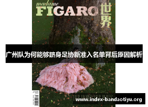 广州队为何能够跻身足协新准入名单背后原因解析