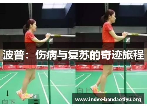 波普：伤病与复苏的奇迹旅程