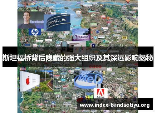 斯坦福桥背后隐藏的强大组织及其深远影响揭秘