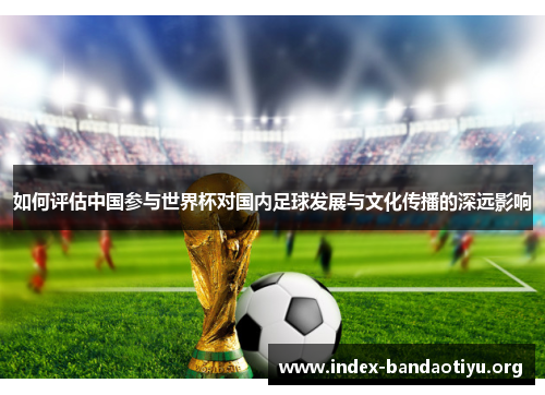 如何评估中国参与世界杯对国内足球发展与文化传播的深远影响