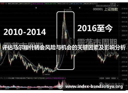 评估马尔穆什转会风险与机会的关键因素及影响分析