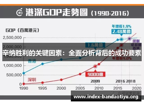 辛纳胜利的关键因素：全面分析背后的成功要素