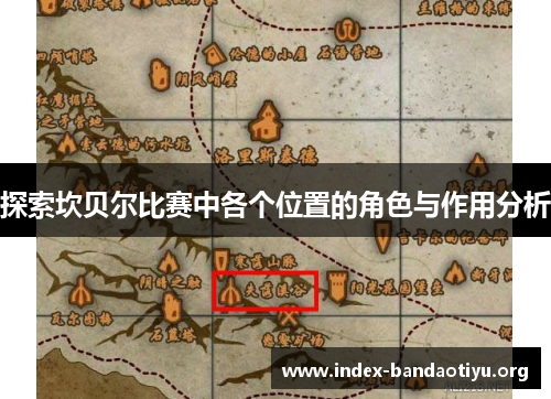 探索坎贝尔比赛中各个位置的角色与作用分析